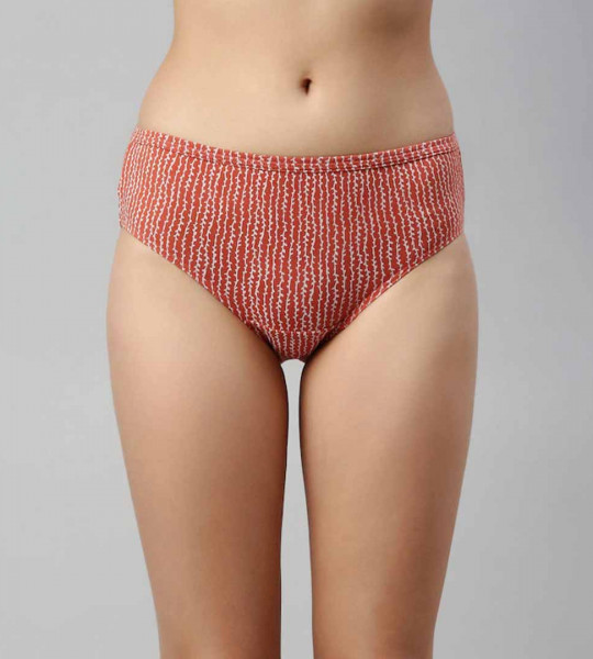 Women Pack of 2 Assorted Mid Waist Full coverage Cotton Antimicrobial Briefs